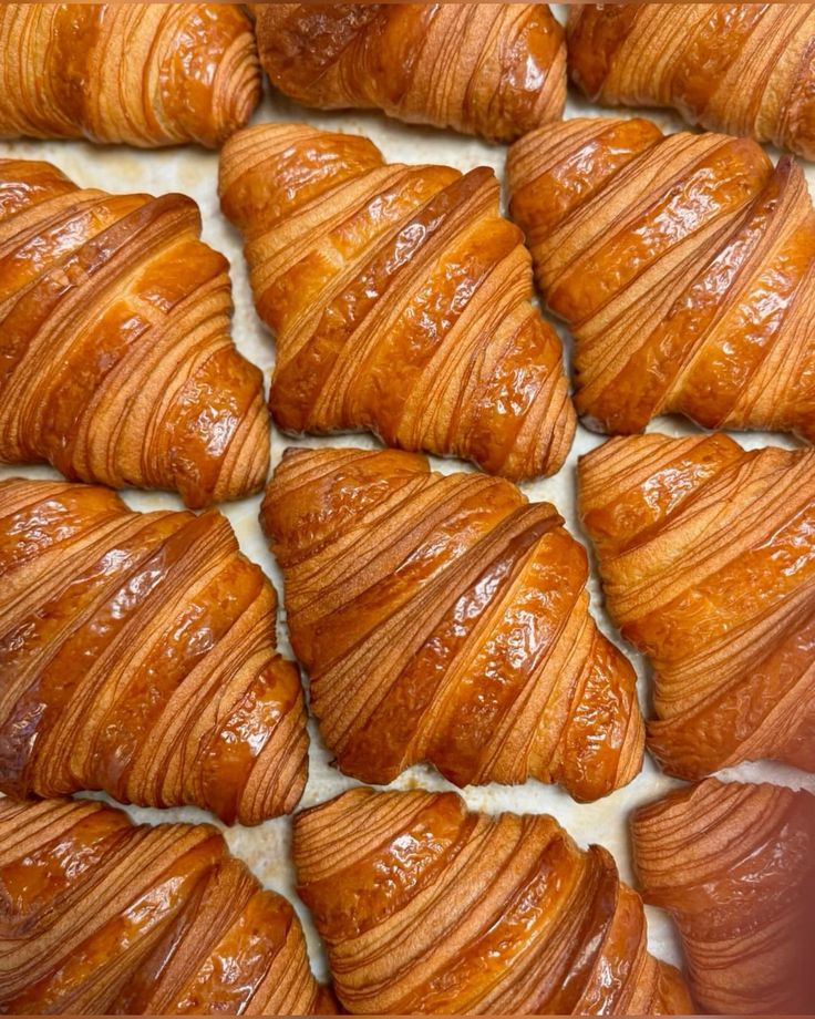 Rows of buttery French croissants